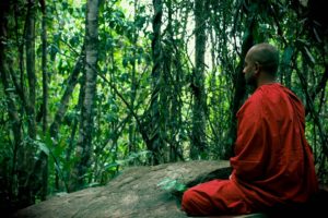 Scopri di più sull'articolo Meditazione degli organi: meditazione del Fegato